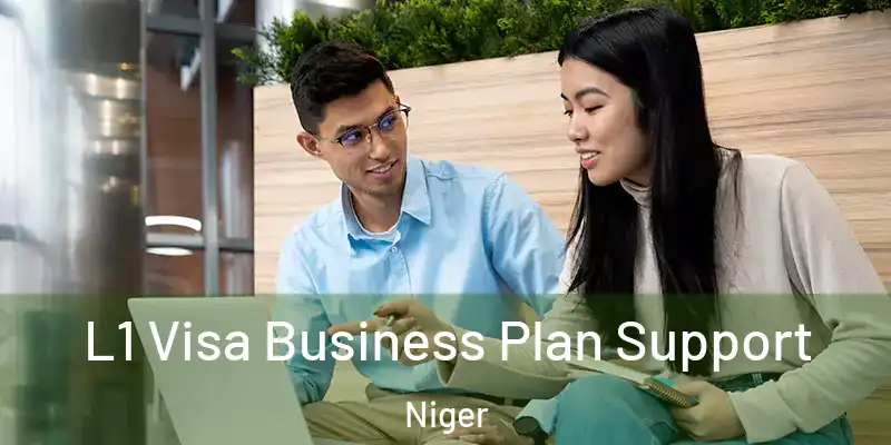 L1 Visa Business Plan Support Niger