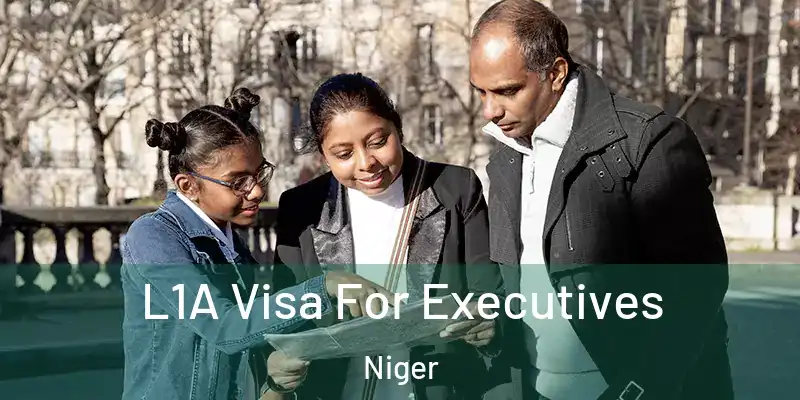 L1A Visa For Executives Niger