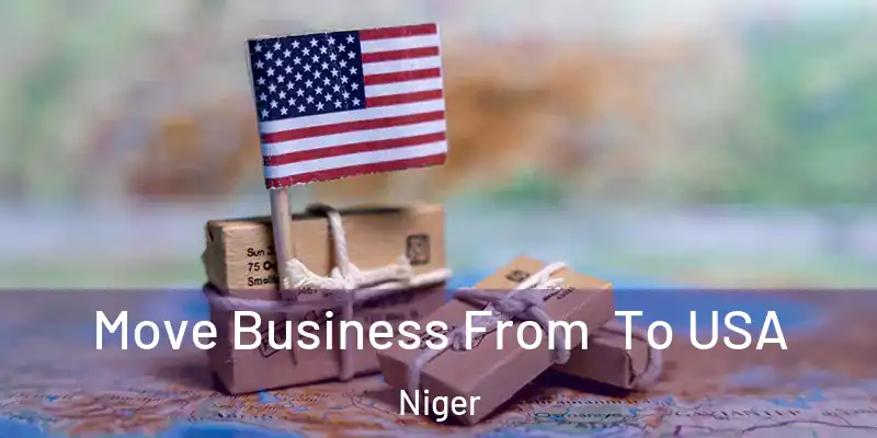 Move Business From To USA Niger