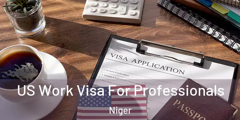 US Work Visa For Professionals Niger
